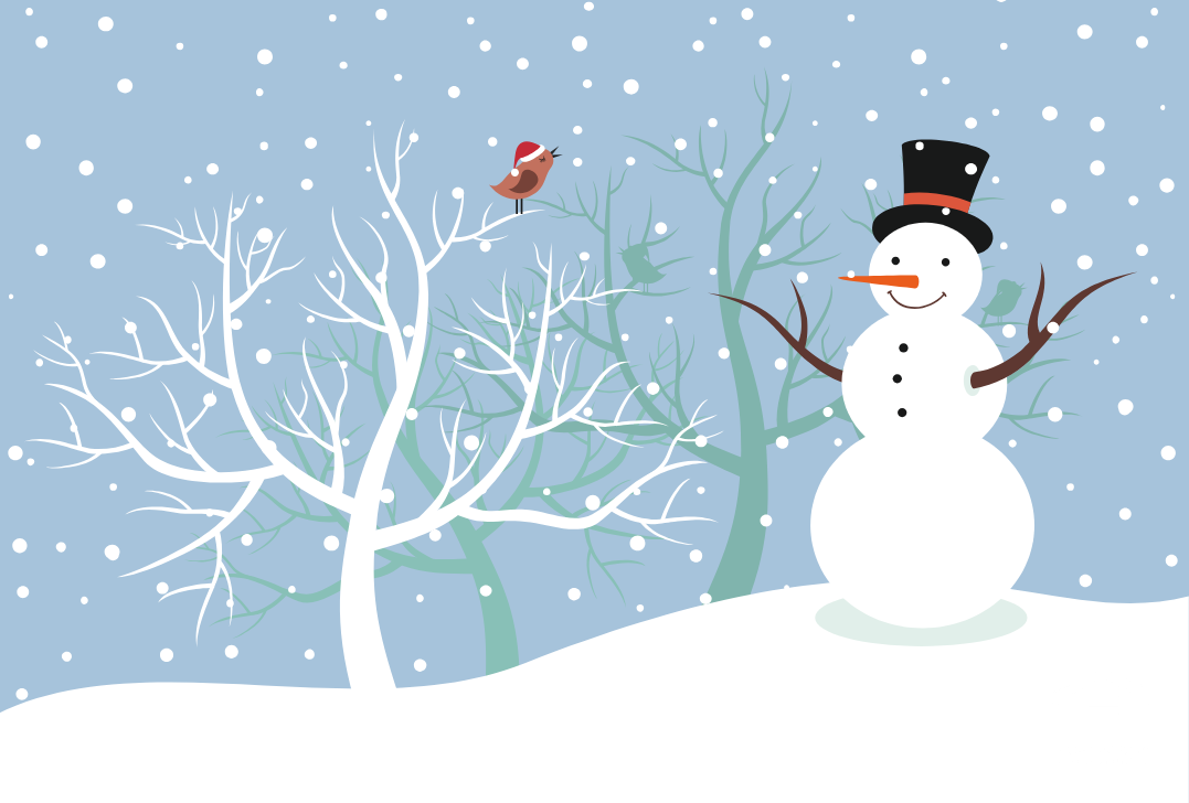 Beyond the Baubles: Creative Ways to Use Holiday Decorations in January for Strata Apartments-image