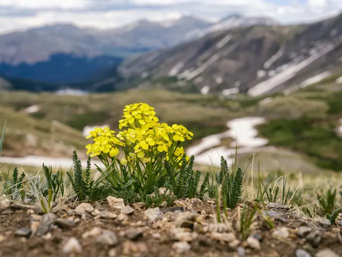 Spring Hikes and Scenic Spots Near Pocatello-image