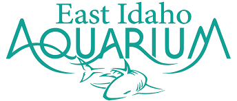 Tropical Escape: Why the East Idaho Aquarium is Your Perfect December Break-image