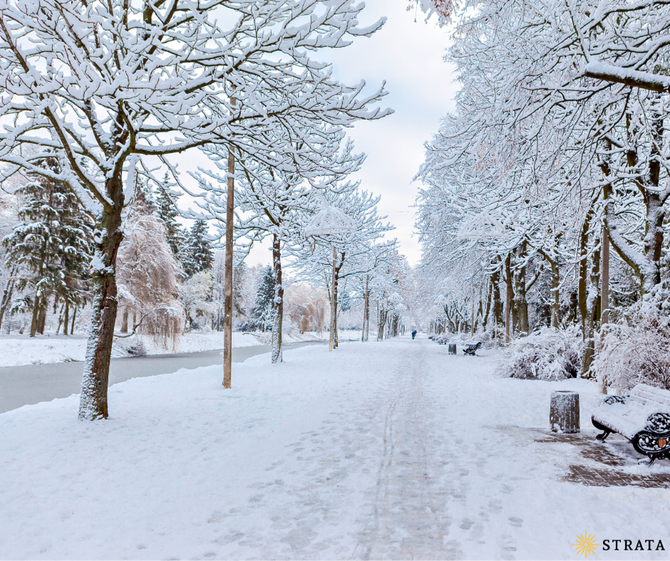 Best Winter Apartment Amenities to Enjoy at Strata Apartments-image