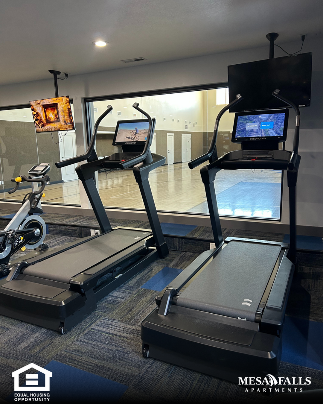 Your Workout Just Got an Upgrade: Meet Our New Treadmills-image