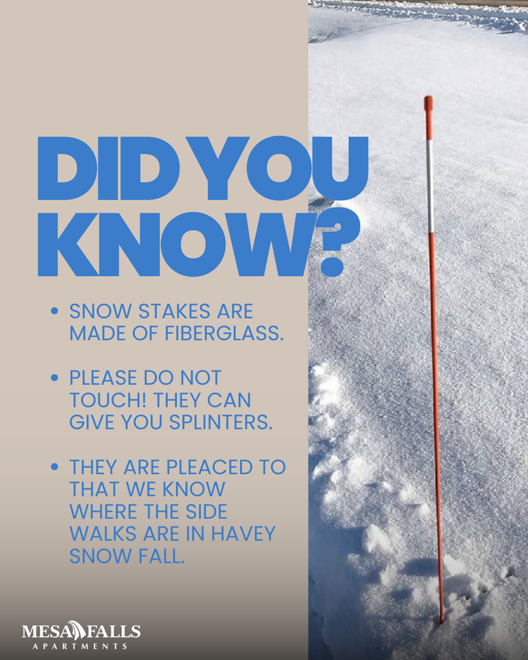 Winter Prep 101: Understanding Snow Stakes on Our Property-image