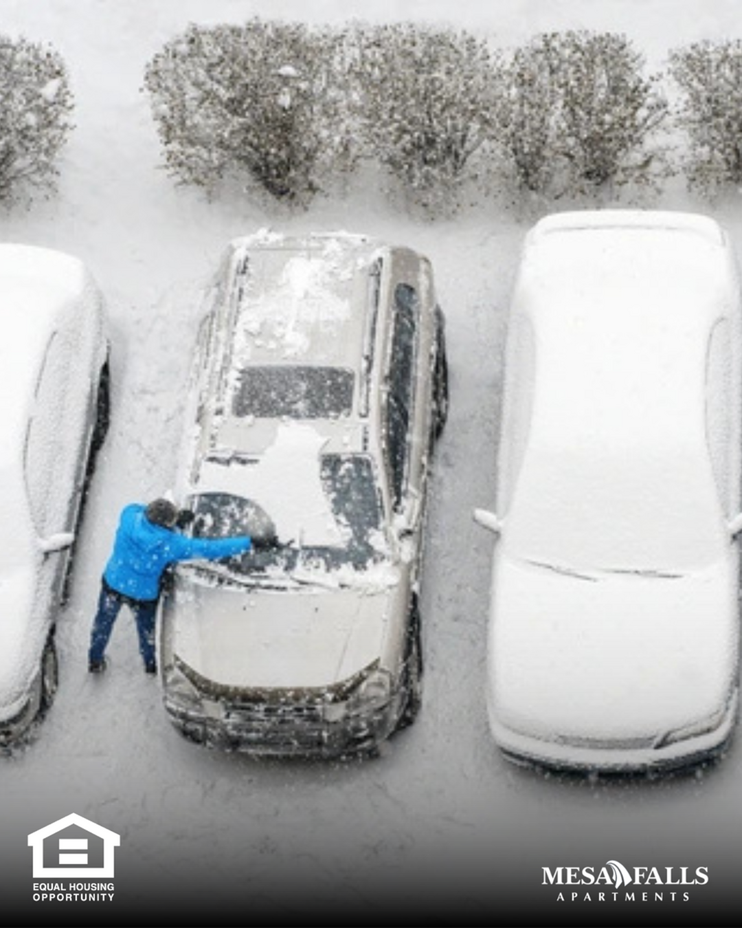 Skip the Scraping: Why a Carport Is a Winter Must-Have-image