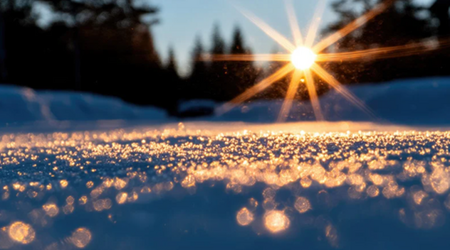 Winter Wonderland-image