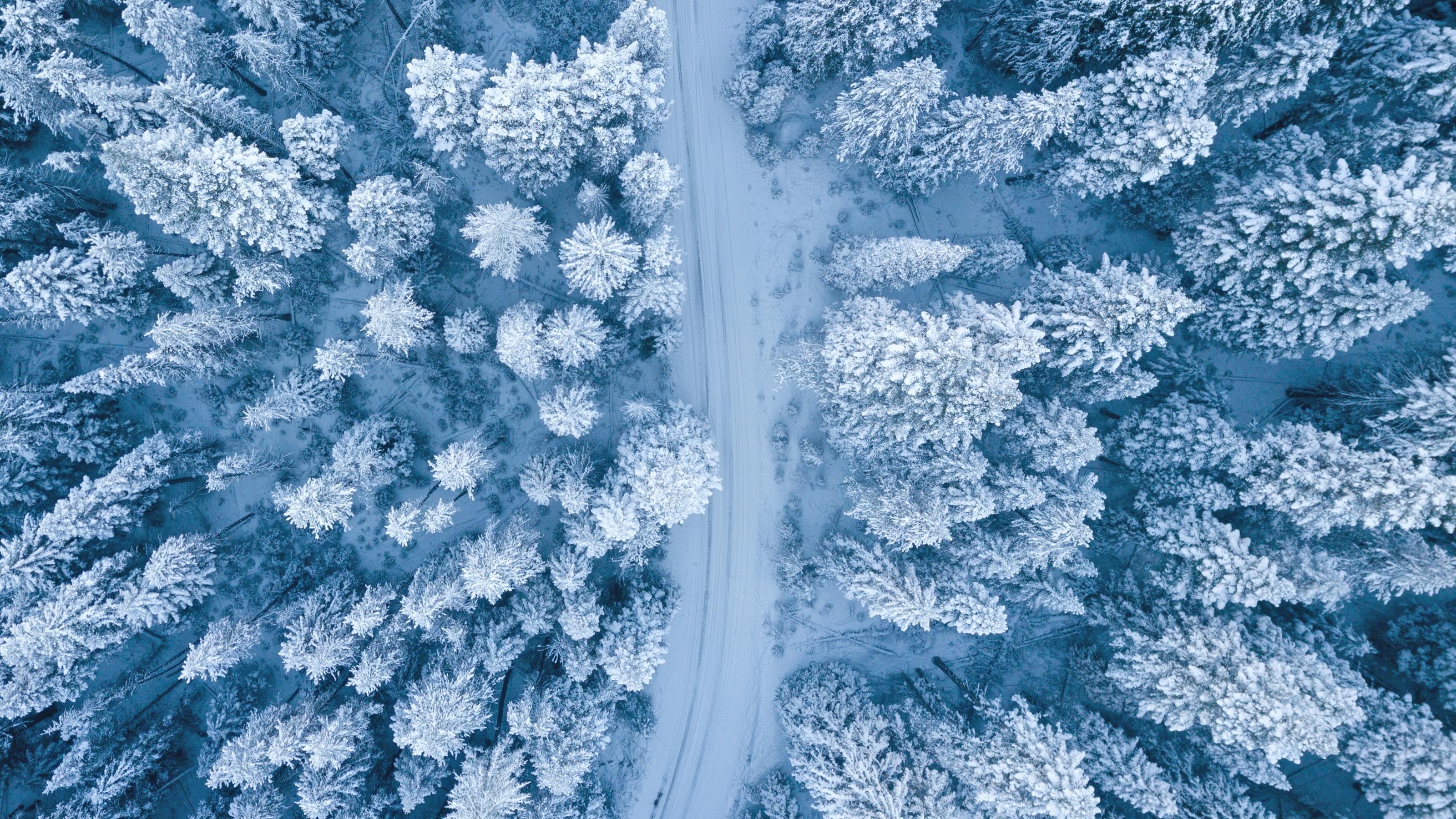 Hello January!-image