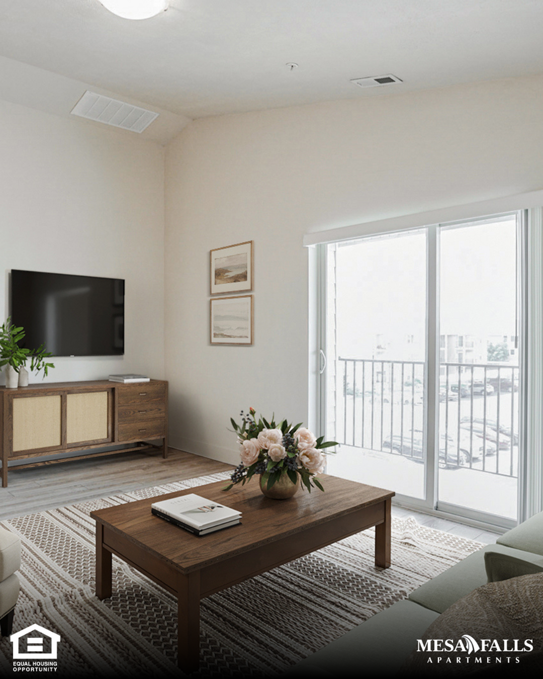 Comfortable Living in Our One Bedroom, One Bathroom Apartment-image
