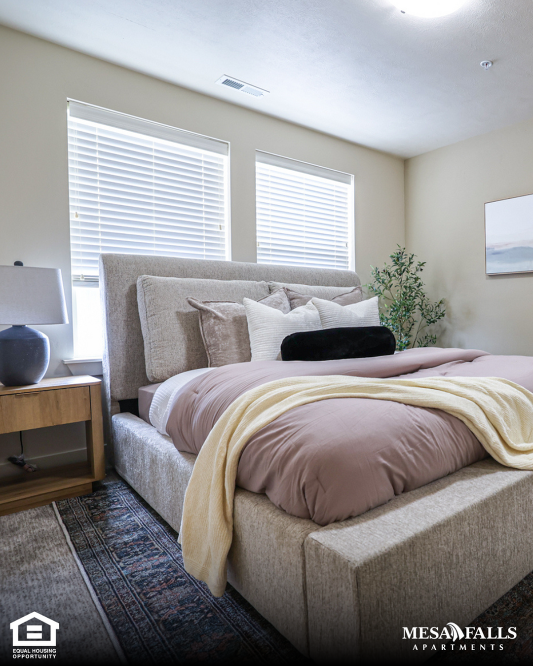 Comfort and Privacy in Our Two Bedroom, One Bathroom Apartment-image