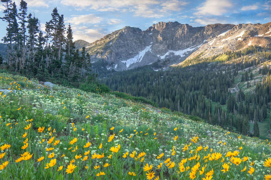Logan Canyon — Stokes Nature Center