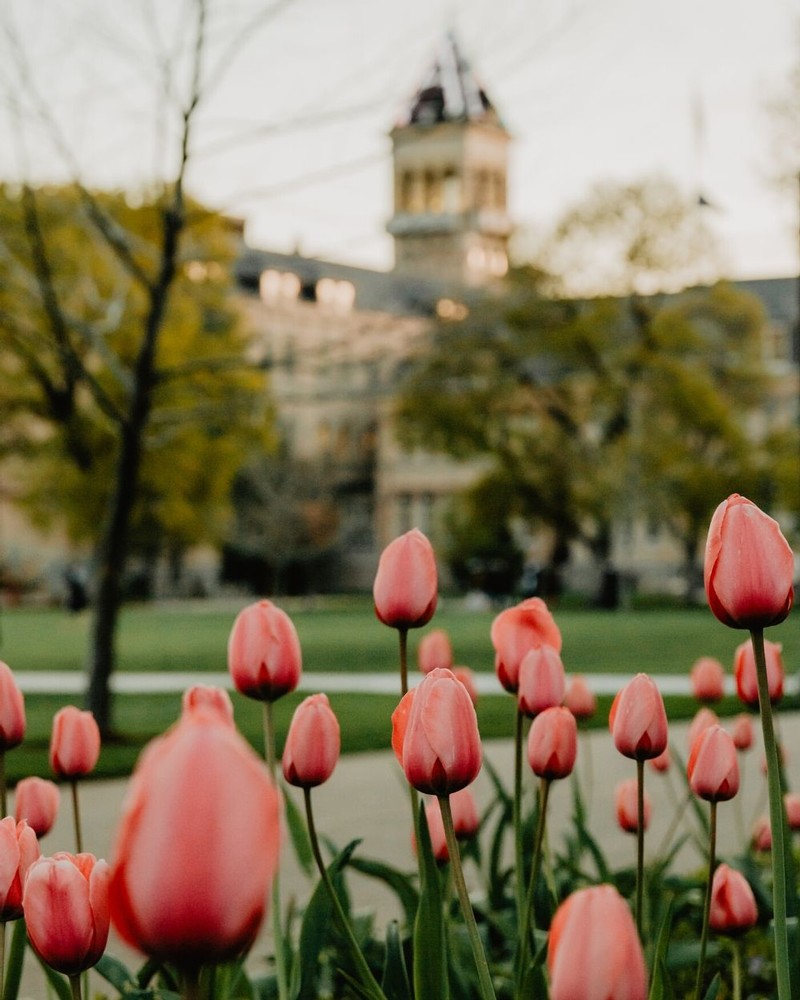 Spring on Campus: Energy and Events at Utah State University-image