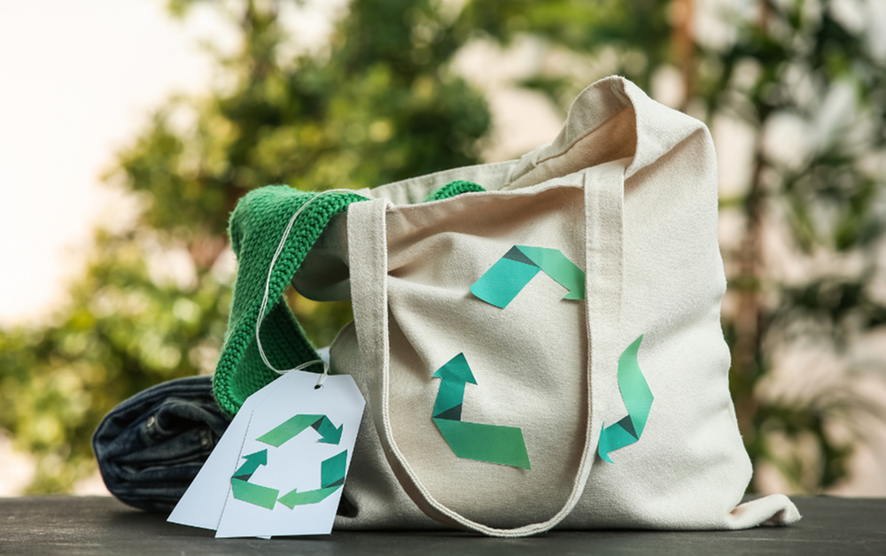Easy and Affordable Ways to Live More Eco-Friendly in Your Apartment-image