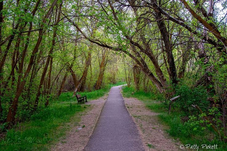 Productivity & Motivation—Finishing Spring Strong-image