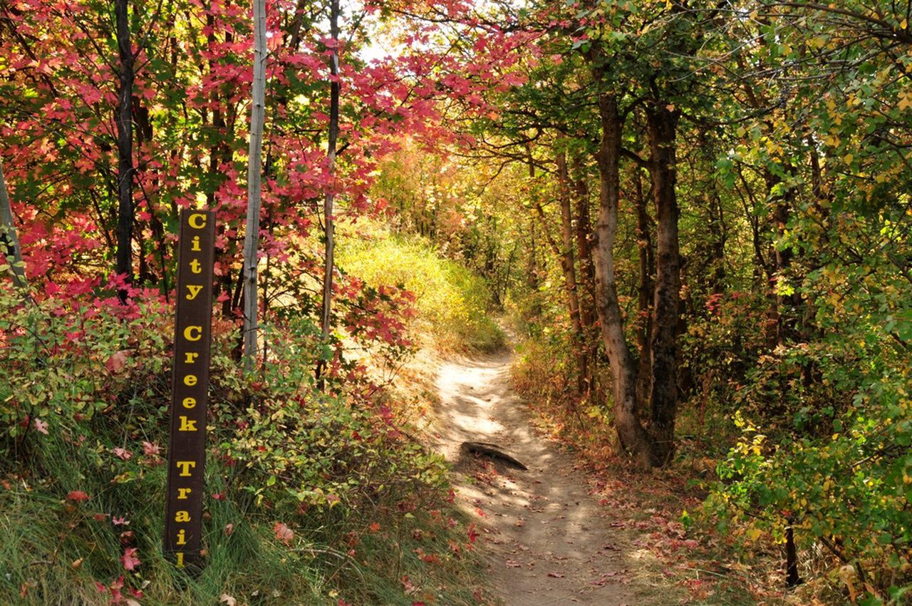 A Local’s Guide to a Perfect Fall Day Outdoors in Pocatello-image