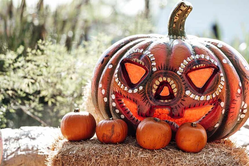 Your Guide to Halloween Weekend in Pocatello-image