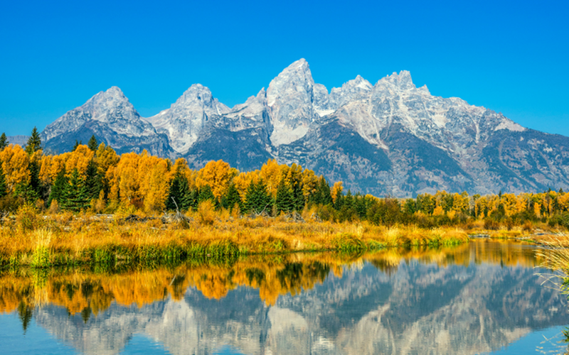 7 Ways to Make Your Apartment Cozy for Fall-image