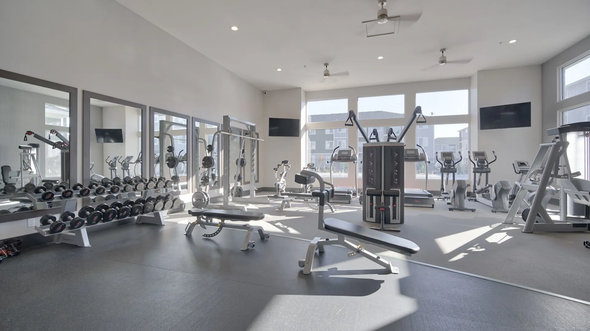 fitness