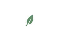 Elegant green leaf logo design symbolizing nature and tranquility, branded with the name 'EDEN'.