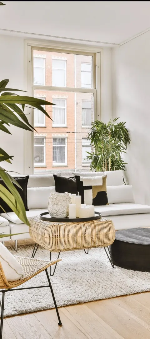 Interior Living Room