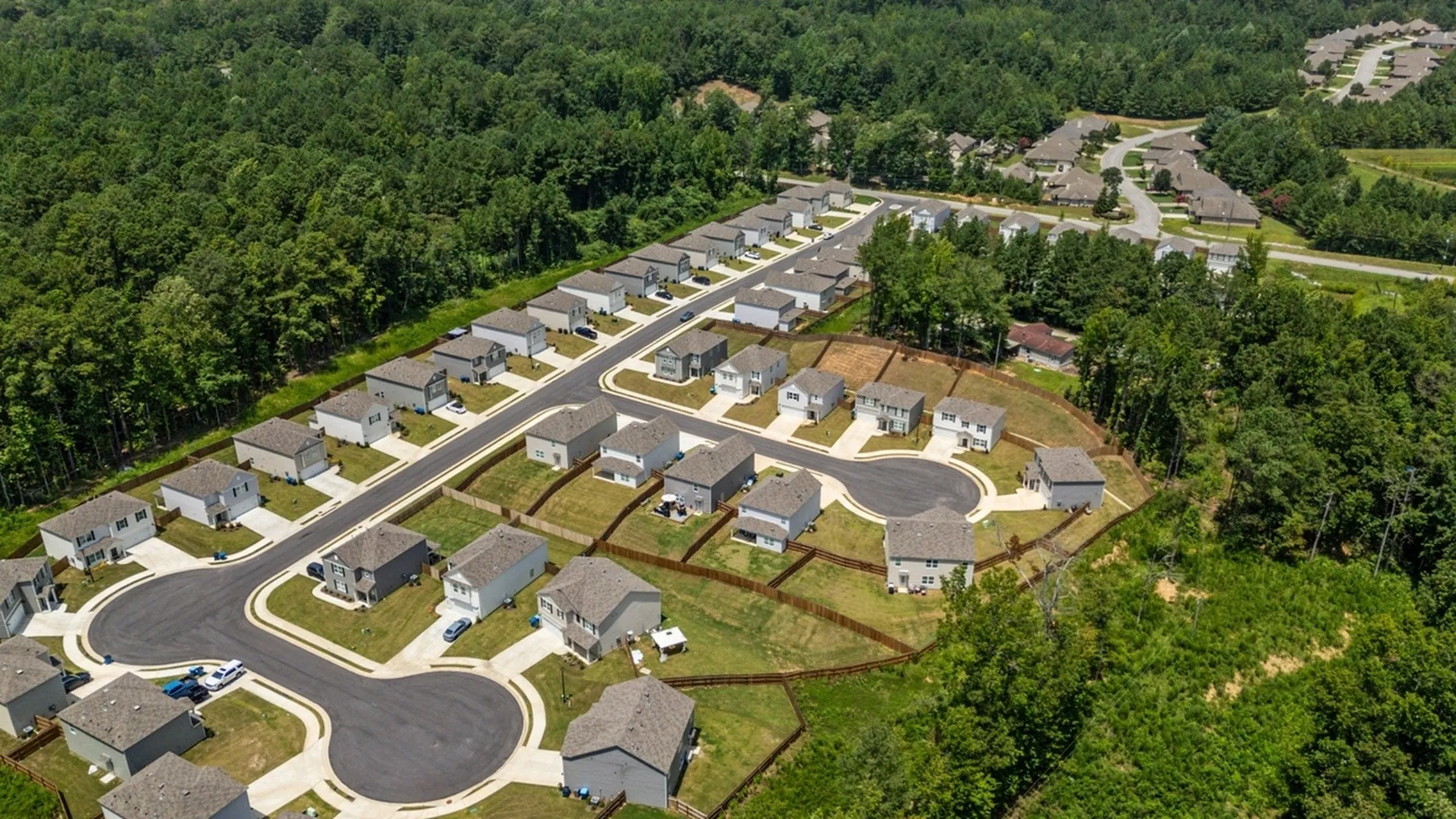 Oak Tree Aerial View