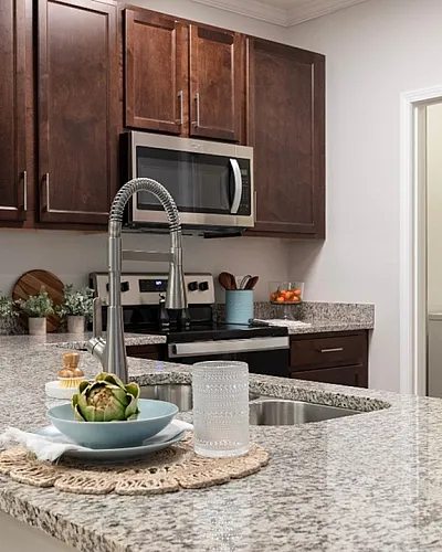 Modern kitchen with sleek granite countertops, stainless steel appliances, and elegant dark wood cabinets.