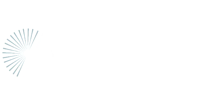 Sleek and modern company logo design with dynamic radial lines forming a semicircle.