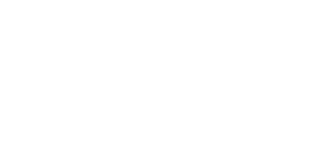 Minimalist illustration of three soaring seagulls, conveying a sense of freedom and serenity.