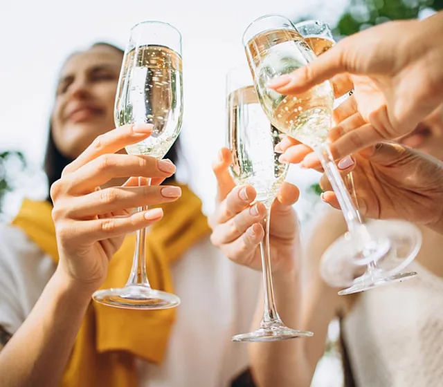 Centerville Manor - Toasting Celebration