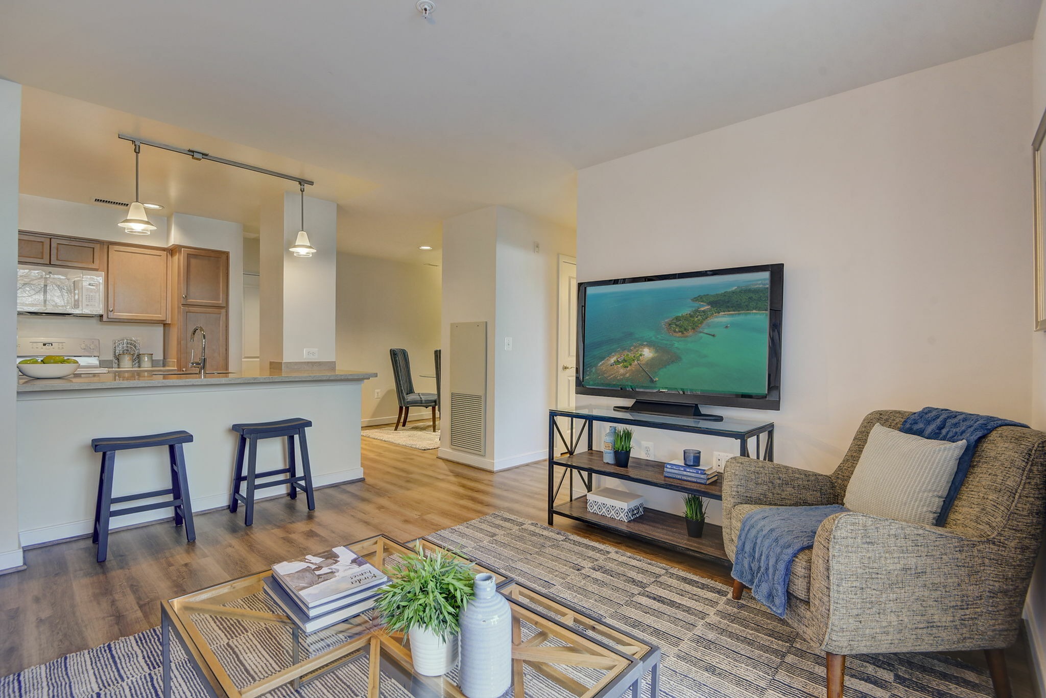 Luxurious Living Room | Apartment Homes in Arlington, VA | Dolley Madison