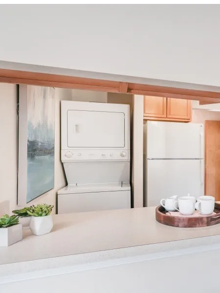 In Unit Washer & Dryer | Alexandria VA Luxury Apartments | Edlandria