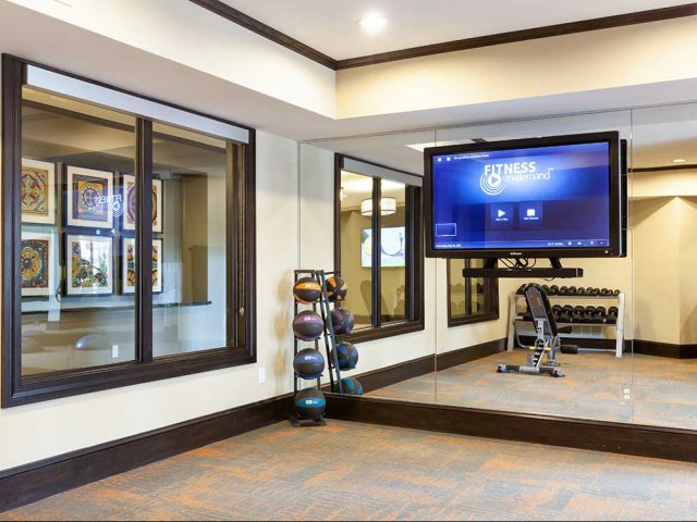 AMLI Campion Trail fitness center with weighted medicine balls and fitness on demand TV screen