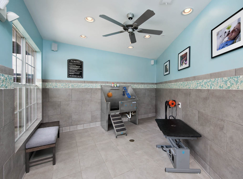 Pet Spa