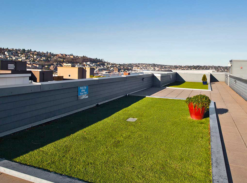 Pet turf