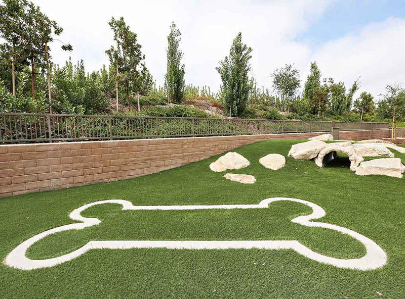 Pet Park