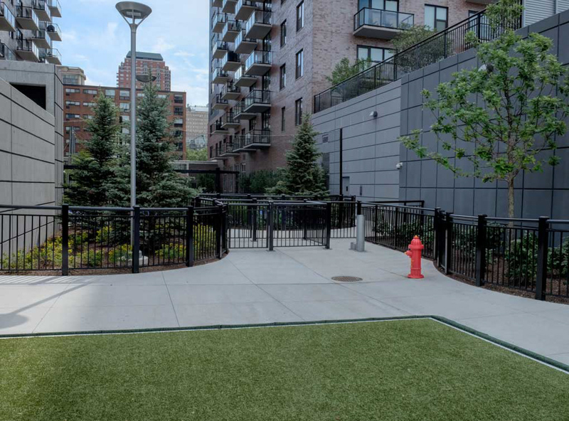 Paw Park