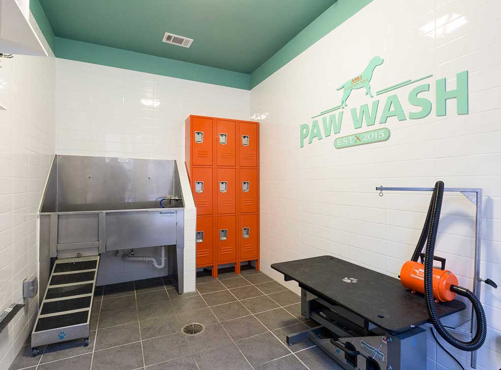 Interior of paw wash at AMLI Campion Trail apartment building with stainless tub and lockers and grooming stand and dryer