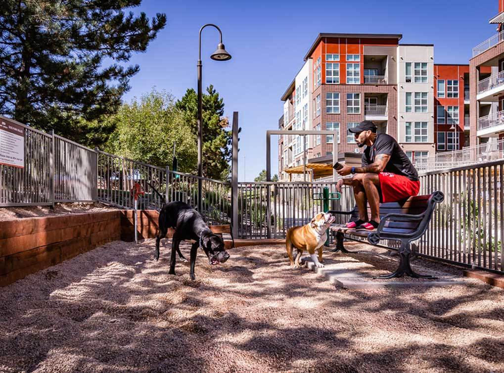 View Our Amenities AMLI Dry Creek