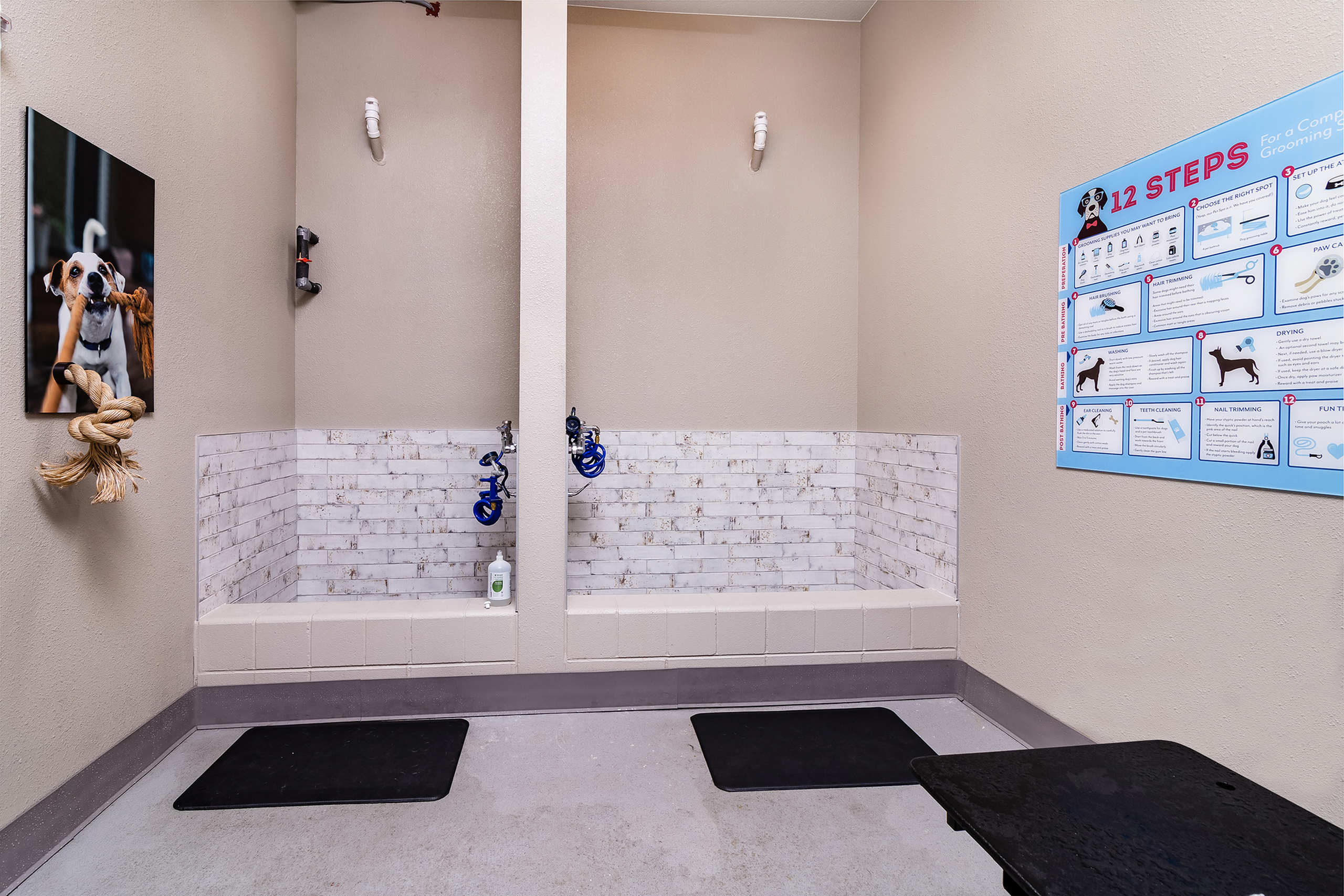 Pet Wash