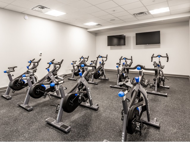 Cycle Studio