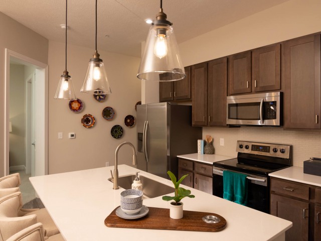 Kitchen Area