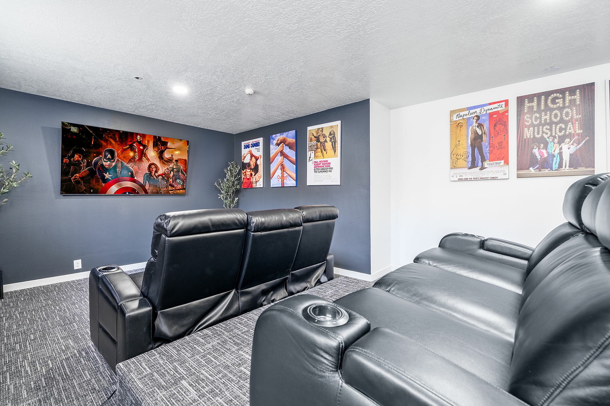 Theater Room