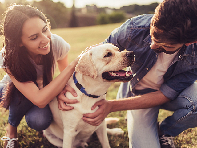 woman and man petting dog at a park