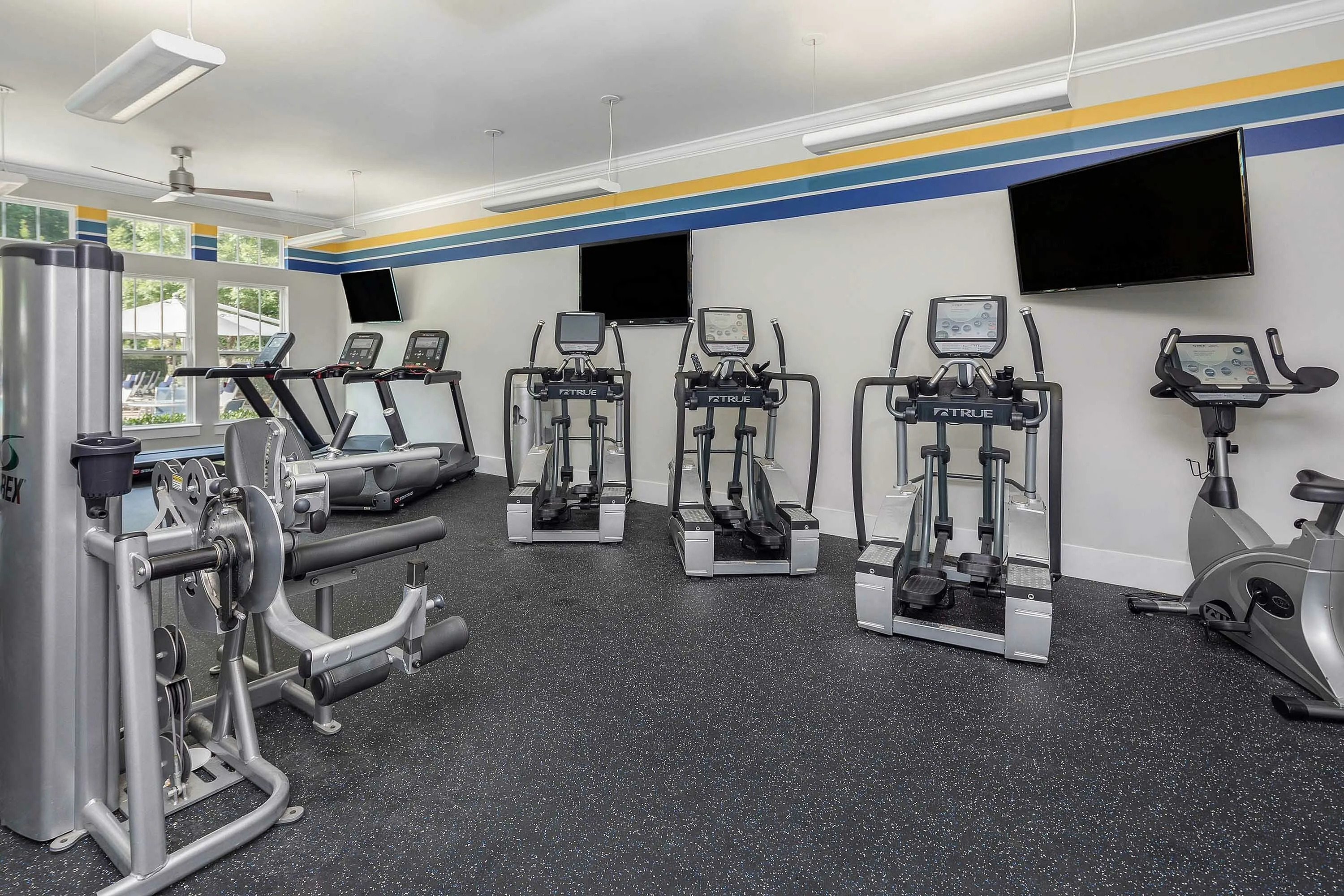 Modern gym with state-of-the-art cardio machines and strength training equipment.