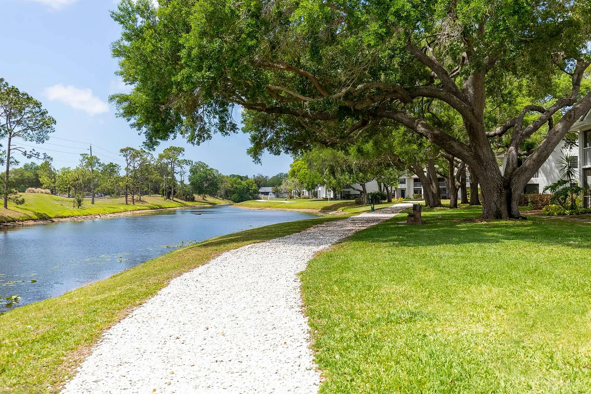 Walking path along the pond