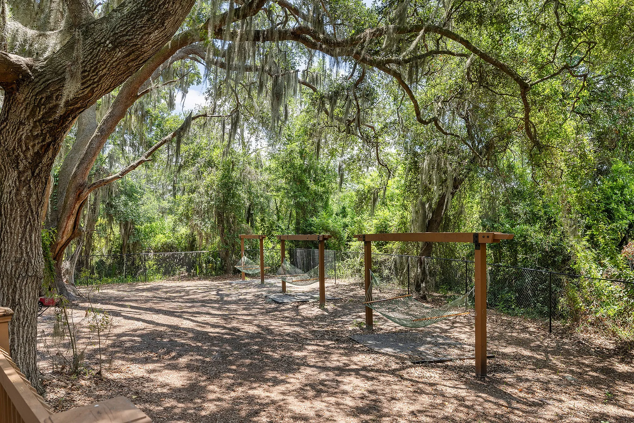Hammock area under the trees