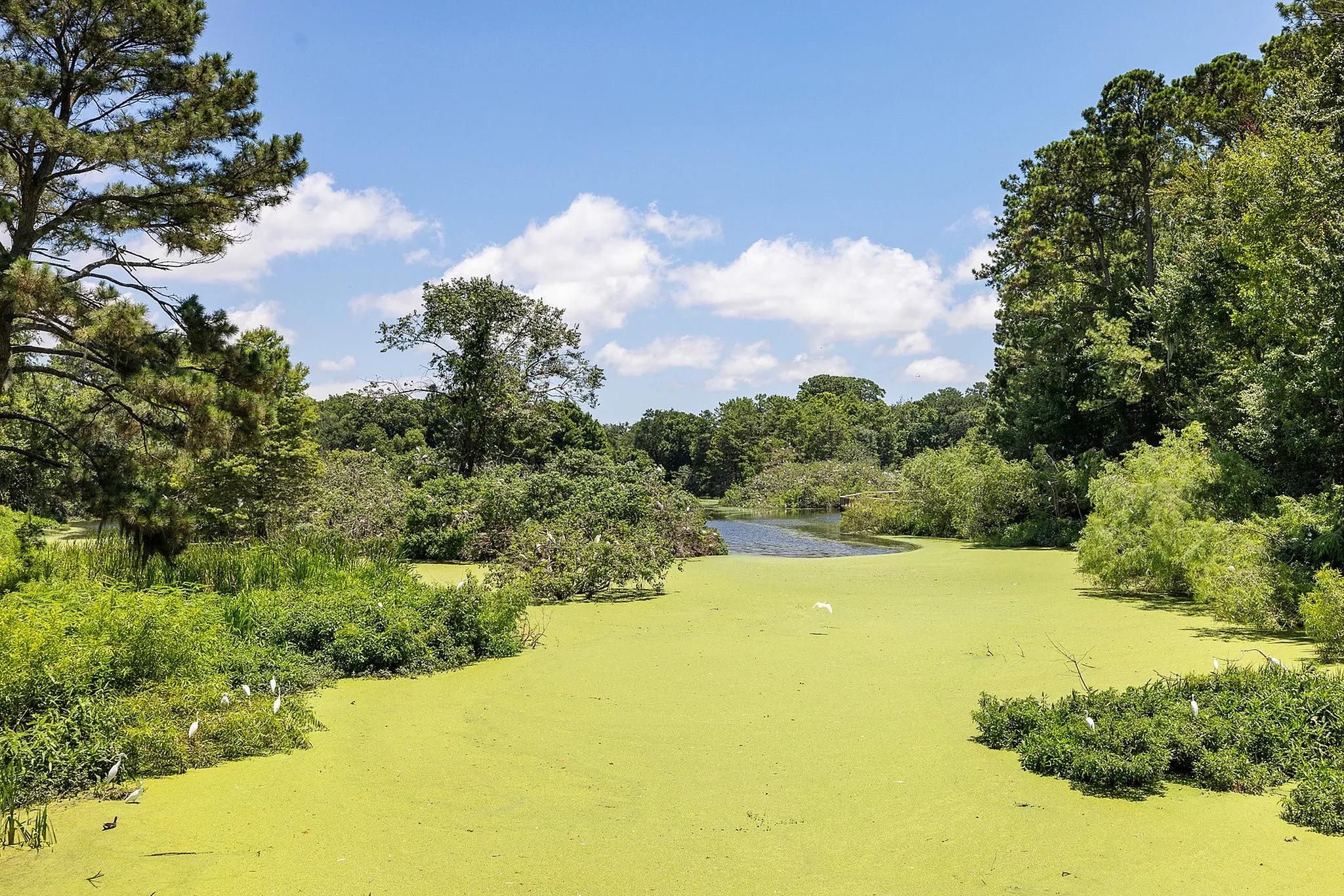 Outdoor walking paths