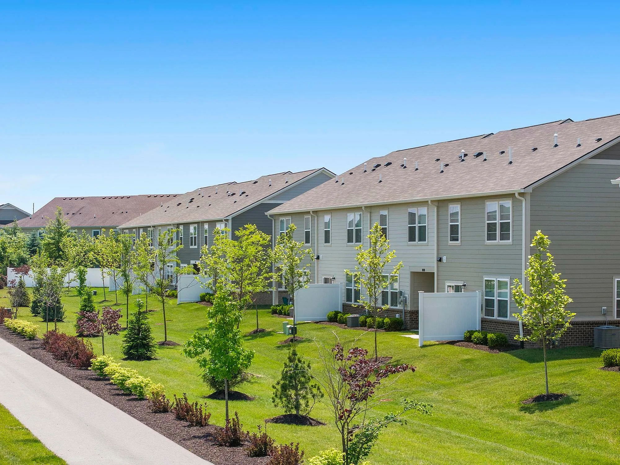 Backyard of homes with trees and green space