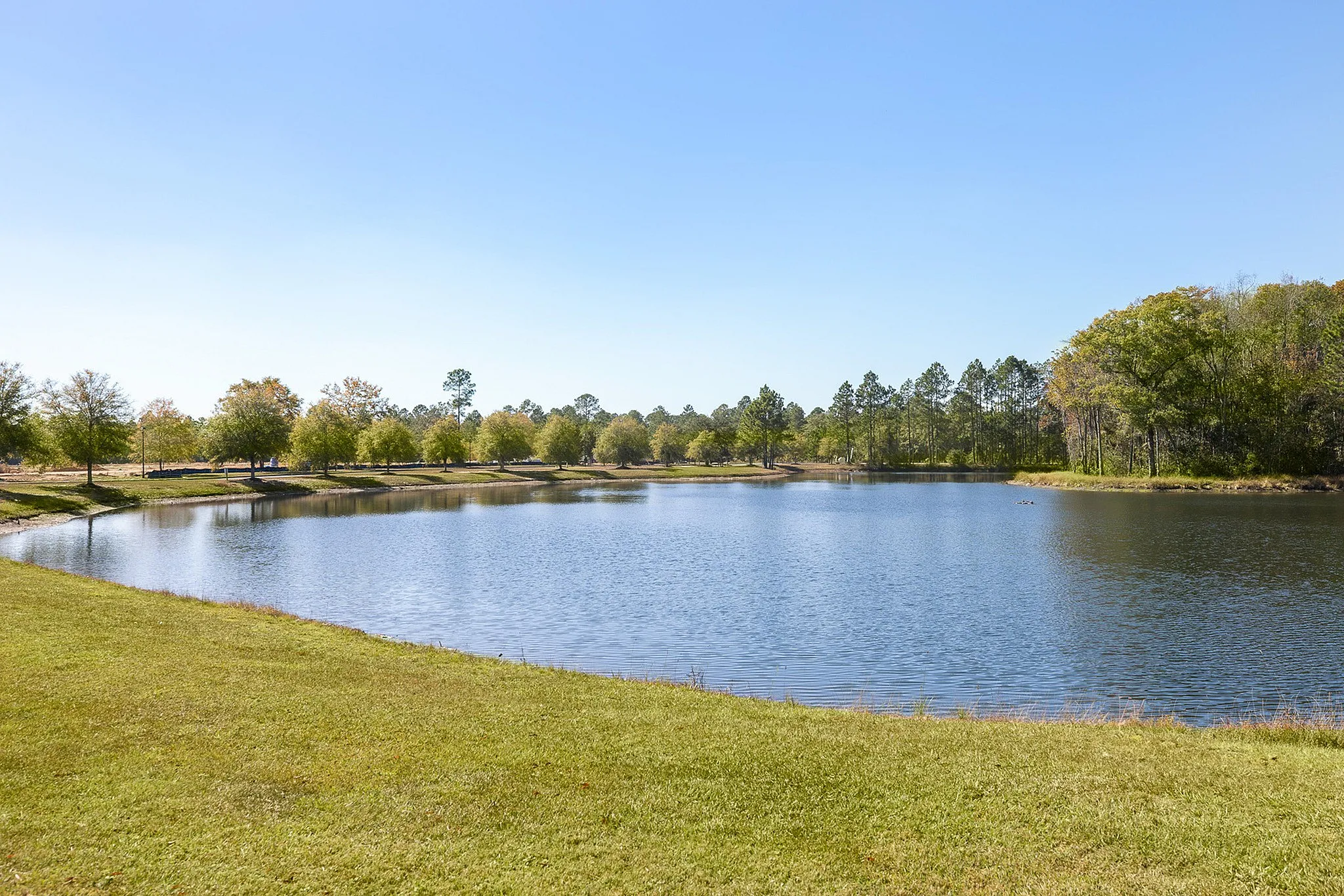 Lake view
