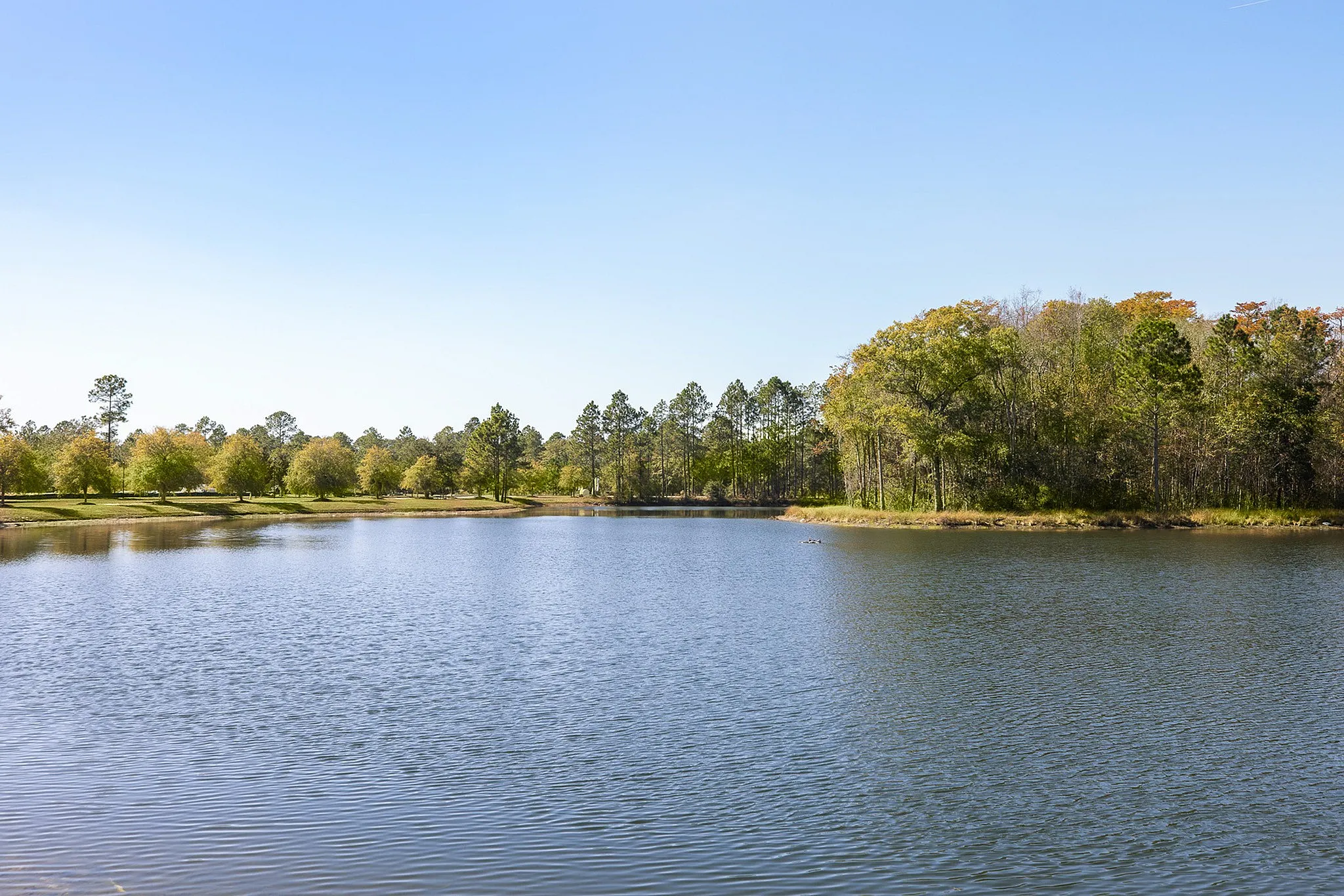 Lake view