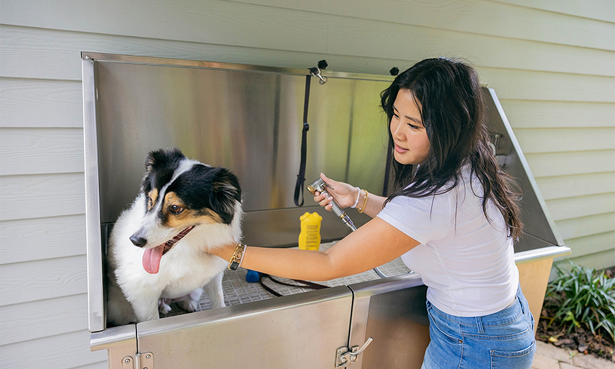 dog washing station