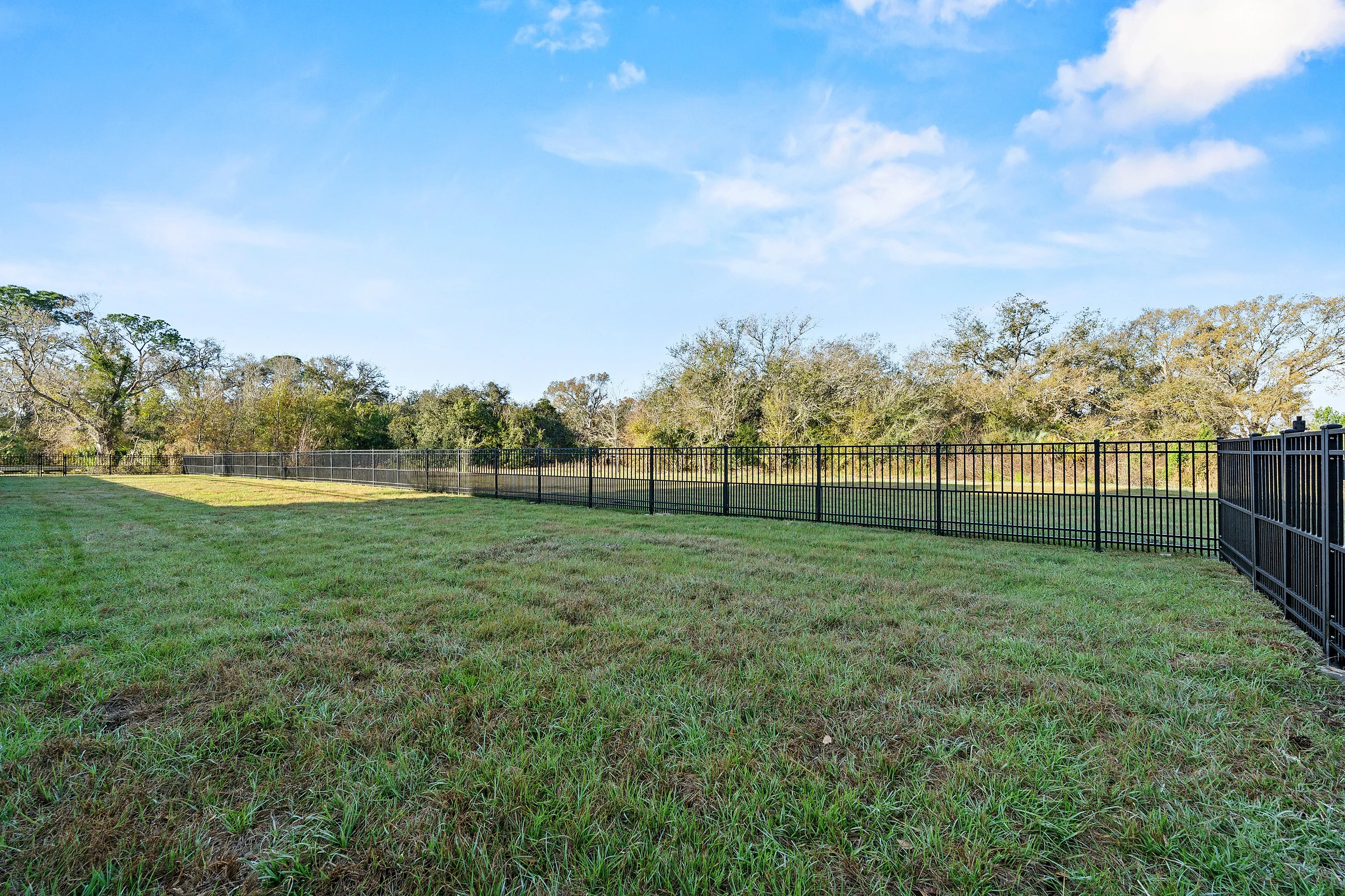 dog park