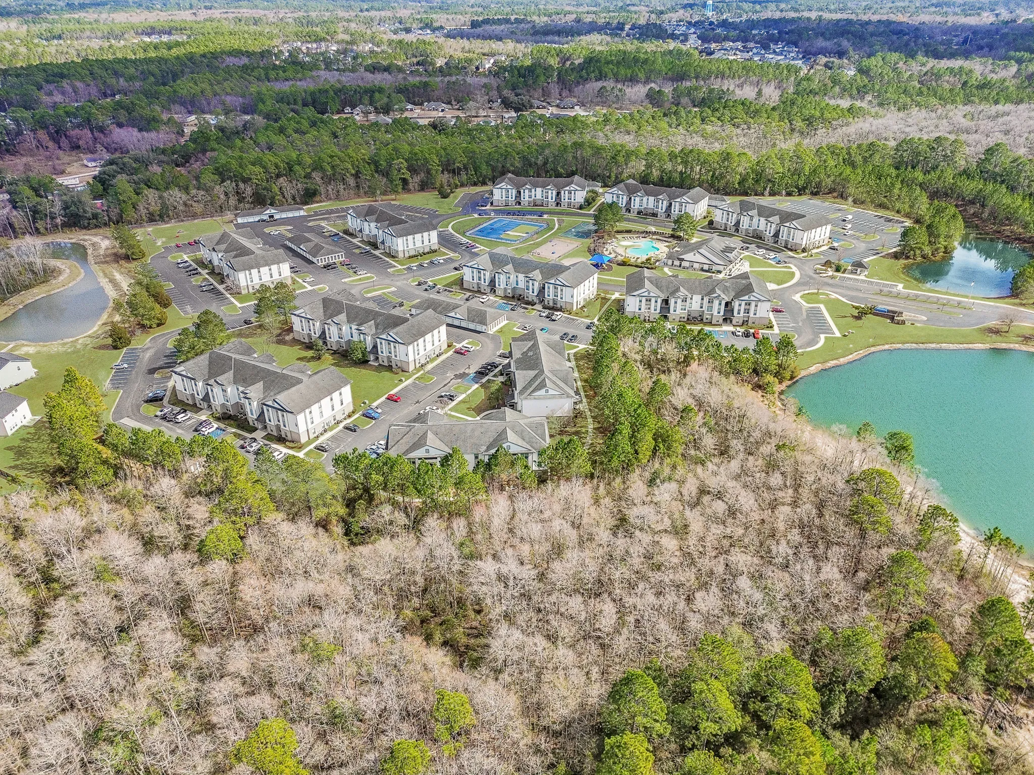 Drone picture of the community